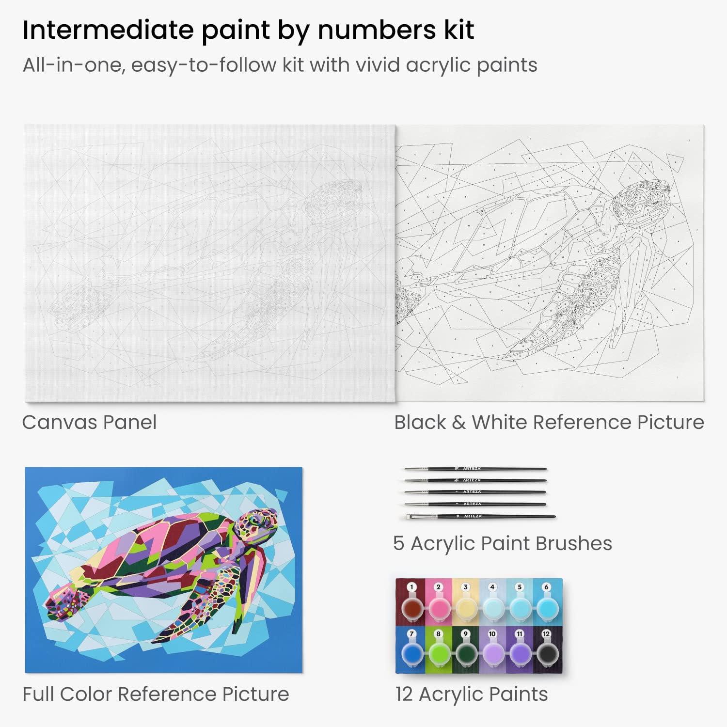 imageARTEZA Paint by Numbers Kit 12x16 Inches 21 Pieces Monstera Canvas Painting Kit Canvas Panel 12 Acrylic Paint Pots 5 Paintbrushes Art Supplies for a Meditative and CalmingTurtle
