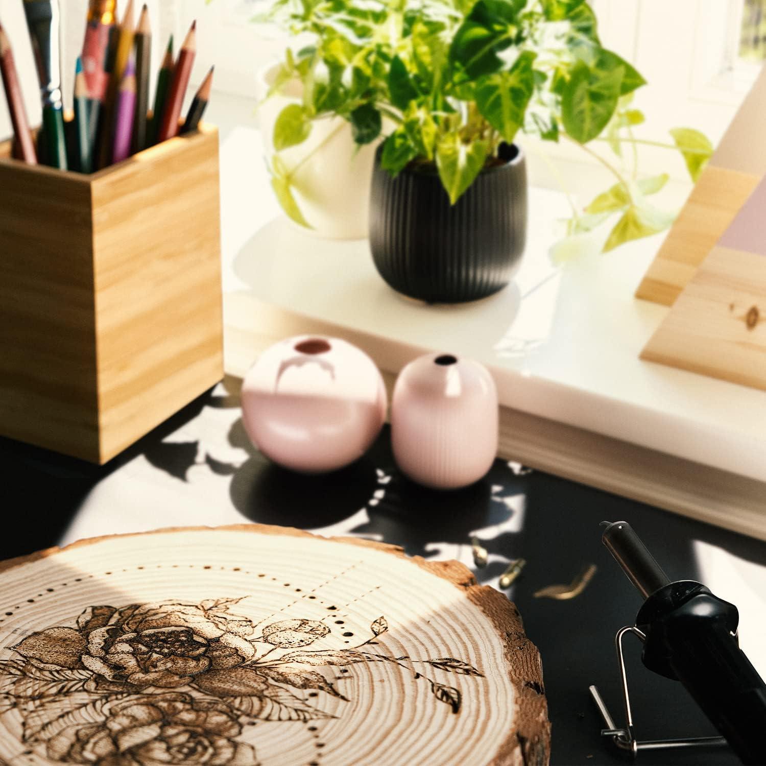 imageArteza Wood Burning Kit 1 Pyrography Pen 6 Interchangeable Tips 300400C 25W Heat Shield and Stand for Beginners Intermediates and Hobbyists