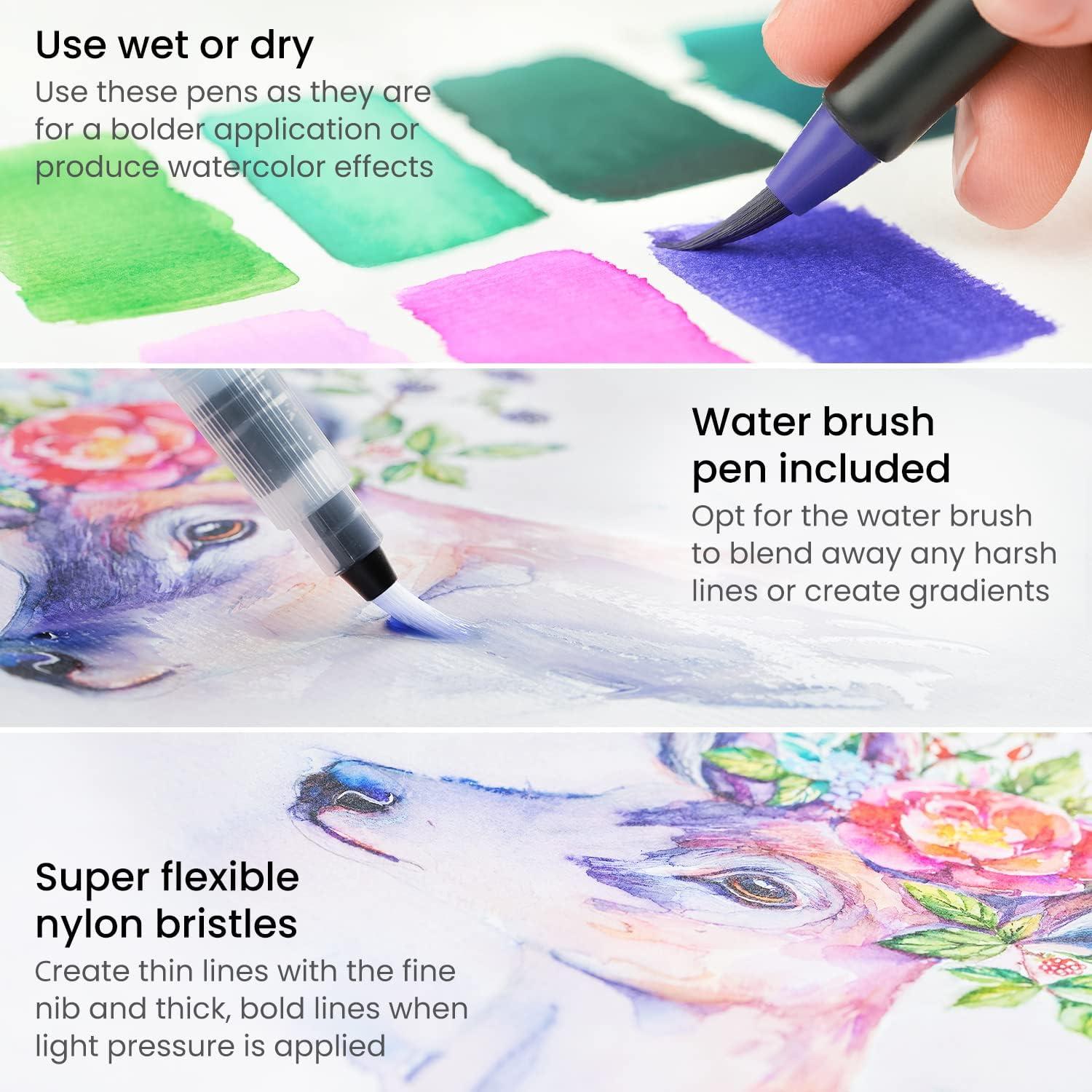imageARTEZA 12 Watercolor Pens for Artists Landscape Tones Real Brush Pens Blendable Watercolor Markers for AdultsMagic Colors
