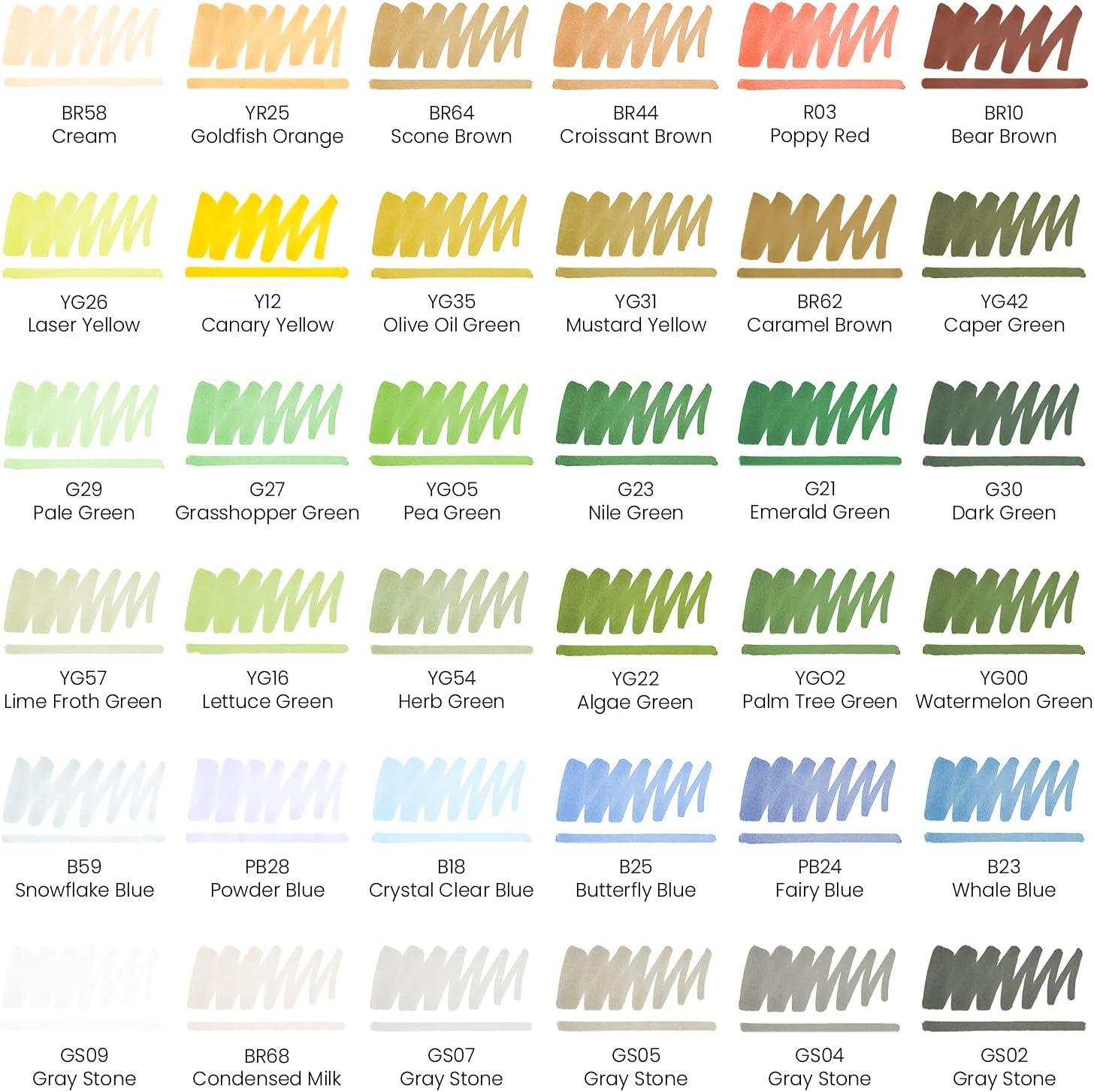 imageARTEZA Art Alcohol Markers Set of 72 Colors EverBlend Dual Tip Markers with Organizer Box Fine and Broad Chisel NibLandscape Tones