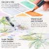 ARTEZA 12 Watercolor Pens for Artists, Landscape Tones Real Brush Pens, Blendable Watercolor Markers for Adults(Landscape Colors)