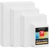 ARTEZA Canvas Boards for Painting, 5 x 7 Inches, Pack of 14, Blank White Small Canvas Panels for Acrylic, Oil and Gouache Painting(5 x 7  8 x 10  9 x 12  11 x 14 Inches)