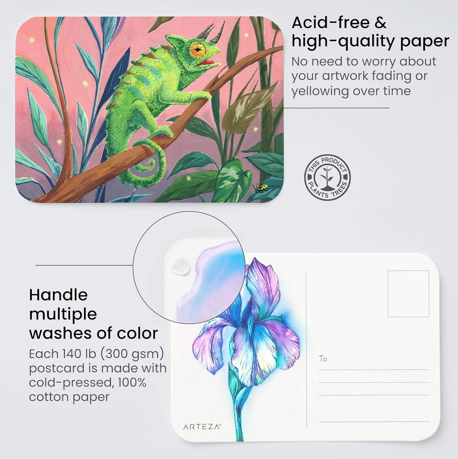 imageARTEZA Blank Watercolor Cards with Envelopes Set of 25 5x69 Inches 140 lb Watercolor Postcards 100 Cotton Note Cards30 pack 4x6 Inch