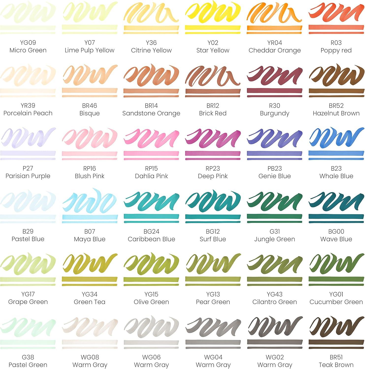 imageARTEZA Alcohol Markers Set of 12 Classic Colors EverBlend DualTip Markers for Adult Coloring  Medium Chisel and Brush NibFlora Tones