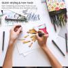 ARTEZA Felt Tip Pens, Set of 24 Seasonal Brush Tip Calligraphy Pens, Dye-Based Ink(24 Seasonal Brush Tip)