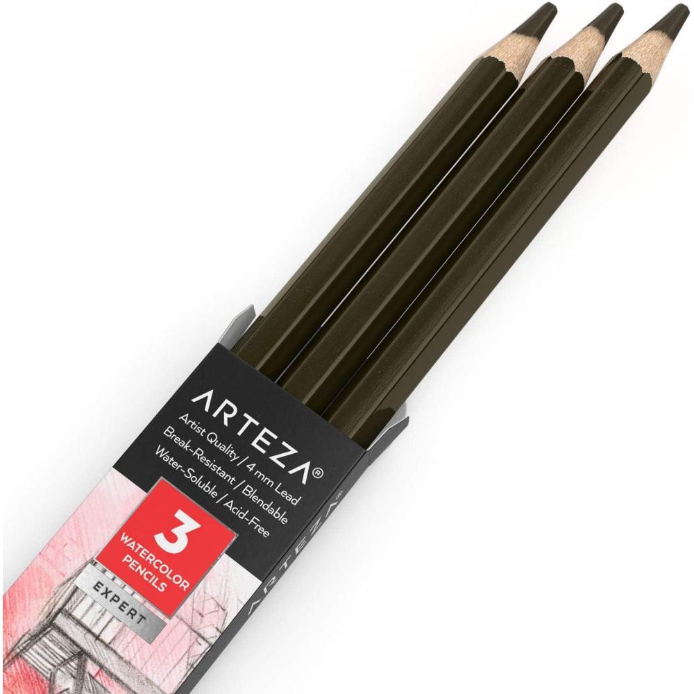 imageArteza Professional Watercolor Pencils Pack of 3 A212 Passion Fruit Red WaterSoluble Pencils for Coloring Blending Layering ampamp Watercolor TechniquesA303 Coyote Brown