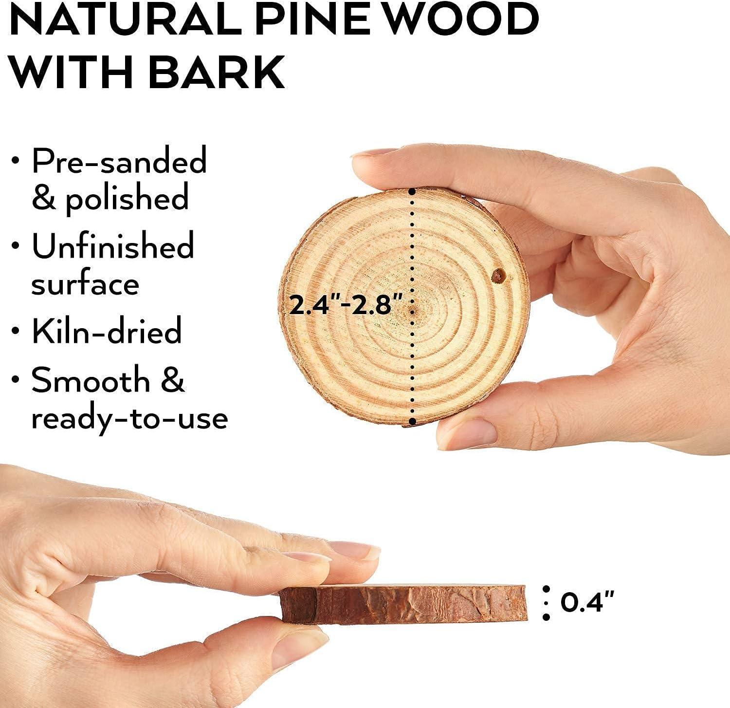 imageARTEZA Iridescent Acrylic Paint Set and Wood Slices with Bark Bundle Painting Art Supplies for Artist Hobby Painters amp Beginners