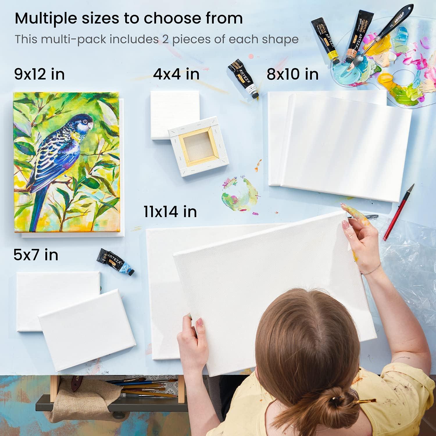 imageArteza Outdoor Acrylic Paint Set of 20 Colors and Arteza Stretched Canvas Multipack of 10 4x4 5x7 8x10 9x12 and 11x14 Inches 2 of Each Art Supplies for Acrylic Pouring and Oil Painting