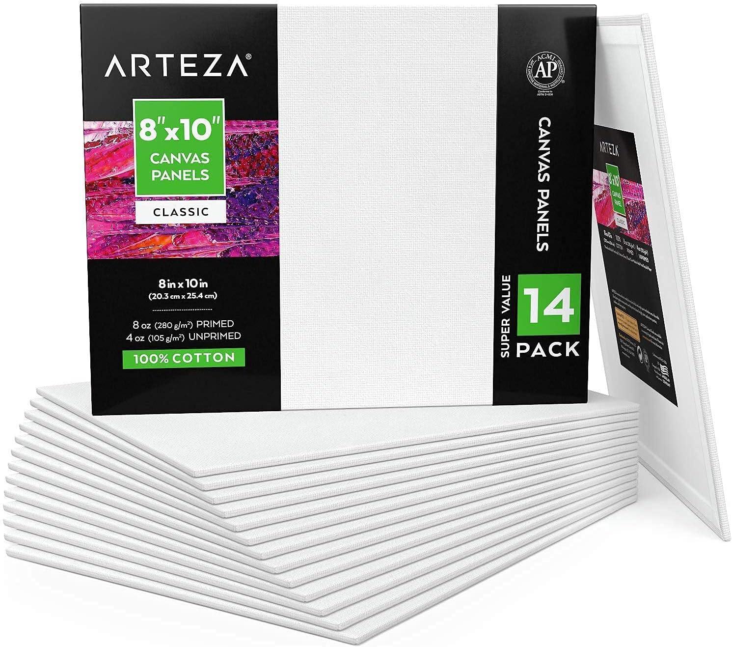 imageARTEZA Metallic Painting Bundle Painting Art Supplies for Artist Hobby Painters amp Beginners