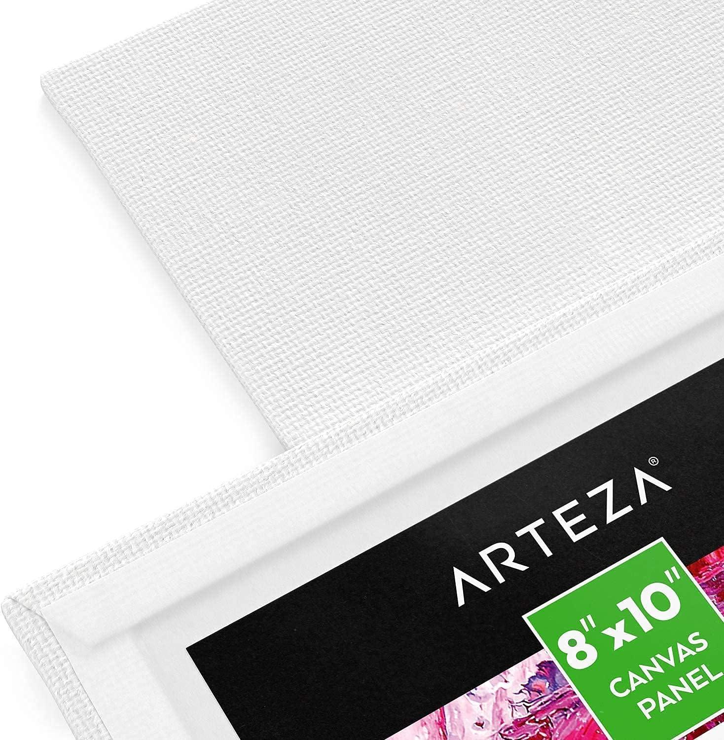 imageARTEZA Metallic Painting Bundle Painting Art Supplies for Artist Hobby Painters amp Beginners