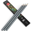Arteza Colored Pencils, Pack of 3, А004 Mushroom Grey, Soft Wax-Based Cores, Ideal for Drawing, Sketching, Shading & Coloring(А006 Smoke Gray)