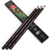 Arteza Colored Pencils, Pack of 3, А004 Mushroom Grey, Soft Wax-Based Cores, Ideal for Drawing, Sketching, Shading & Coloring(А310 Dark Chocolate Brown)