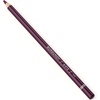 Arteza Colored Pencils, Pack of 3, А004 Mushroom Grey, Soft Wax-Based Cores, Ideal for Drawing, Sketching, Shading & Coloring(А412 Burgundy)
