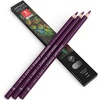 Arteza Colored Pencils, Pack of 3, А004 Mushroom Grey, Soft Wax-Based Cores, Ideal for Drawing, Sketching, Shading & Coloring(А413 Eggplant Purple)