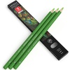 Arteza Colored Pencils, Pack of 3, А004 Mushroom Grey, Soft Wax-Based Cores, Ideal for Drawing, Sketching, Shading & Coloring(А601 Spring Green)