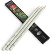 Arteza Colored Pencils, Pack of 3, А004 Mushroom Grey, Soft Wax-Based Cores, Ideal for Drawing, Sketching, Shading & Coloring(A002 Fog Gray)
