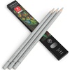 Arteza Colored Pencils, Pack of 3, А004 Mushroom Grey, Soft Wax-Based Cores, Ideal for Drawing, Sketching, Shading & Coloring(A003 Dolphin Gray)