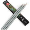 Arteza Colored Pencils, Pack of 3, А004 Mushroom Grey, Soft Wax-Based Cores, Ideal for Drawing, Sketching, Shading & Coloring(A007 Steel Gray)