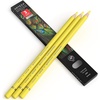 Arteza Colored Pencils, Pack of 3, А004 Mushroom Grey, Soft Wax-Based Cores, Ideal for Drawing, Sketching, Shading & Coloring(A101 Sapphire Yellow)