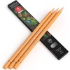 Arteza Colored Pencils, Pack of 3, А004 Mushroom Grey, Soft Wax-Based Cores, Ideal for Drawing, Sketching, Shading & Coloring(A110 Marmalade Orange)