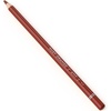 Arteza Colored Pencils, Pack of 3, А004 Mushroom Grey, Soft Wax-Based Cores, Ideal for Drawing, Sketching, Shading & Coloring(A117 Rust Orange)