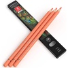 Arteza Colored Pencils, Pack of 3, А004 Mushroom Grey, Soft Wax-Based Cores, Ideal for Drawing, Sketching, Shading & Coloring(A203 Coral)