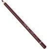 Arteza Colored Pencils, Pack of 3, А004 Mushroom Grey, Soft Wax-Based Cores, Ideal for Drawing, Sketching, Shading & Coloring(A415 Wine Red)