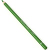 Arteza Colored Pencils, Pack of 3, А004 Mushroom Grey, Soft Wax-Based Cores, Ideal for Drawing, Sketching, Shading & Coloring(A609 Matcha Green)