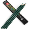 Arteza Colored Pencils, Pack of 3, А004 Mushroom Grey, Soft Wax-Based Cores, Ideal for Drawing, Sketching, Shading & Coloring(A612 Fern Green)