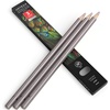 Arteza Colored Pencils, Pack of 3, А004 Mushroom Grey, Soft Wax-Based Cores, Ideal for Drawing, Sketching, Shading & Coloring(A700 Unicorn Purple)