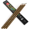 Arteza Colored Pencils, Pack of 3, А004 Mushroom Grey, Soft Wax-Based Cores, Ideal for Drawing, Sketching, Shading & Coloring(Raw Umber A132)