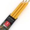 Arteza Colored Pencils, Pack of 3, А004 Mushroom Grey, Soft Wax-Based Cores, Ideal for Drawing, Sketching, Shading & Coloring(А107 Turmeric Yellow)