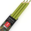 Arteza Colored Pencils, Pack of 3, А004 Mushroom Grey, Soft Wax-Based Cores, Ideal for Drawing, Sketching, Shading & Coloring(A603 Pear Green)