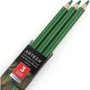 Arteza Colored Pencils, Pack of 3, А004 Mushroom Grey, Soft Wax-Based Cores, Ideal for Drawing, Sketching, Shading & Coloring(A607 Parakeet Green)