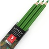Arteza Colored Pencils, Pack of 3, А004 Mushroom Grey, Soft Wax-Based Cores, Ideal for Drawing, Sketching, Shading & Coloring(A609 Matcha Green)